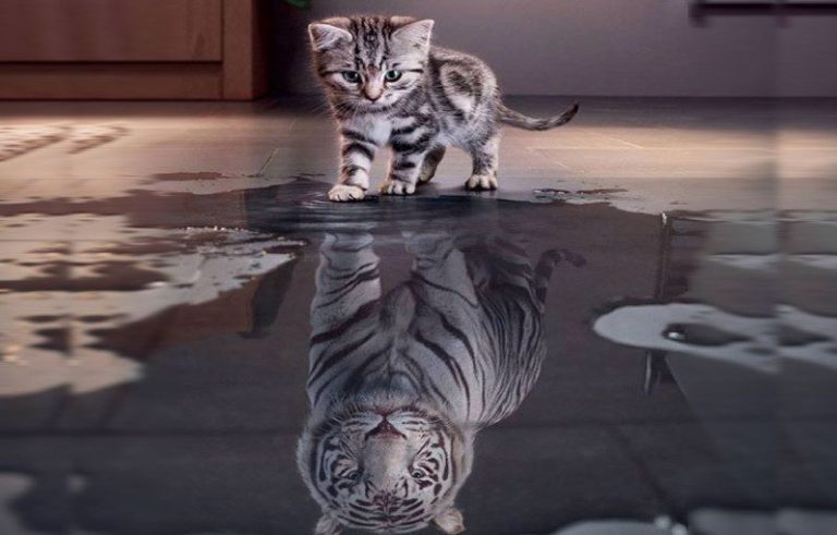 Changing Your Belief System