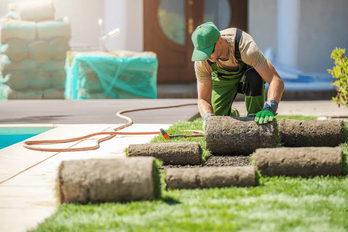 How Buying Grass Online Has Made Lawn Renovation More Accessible