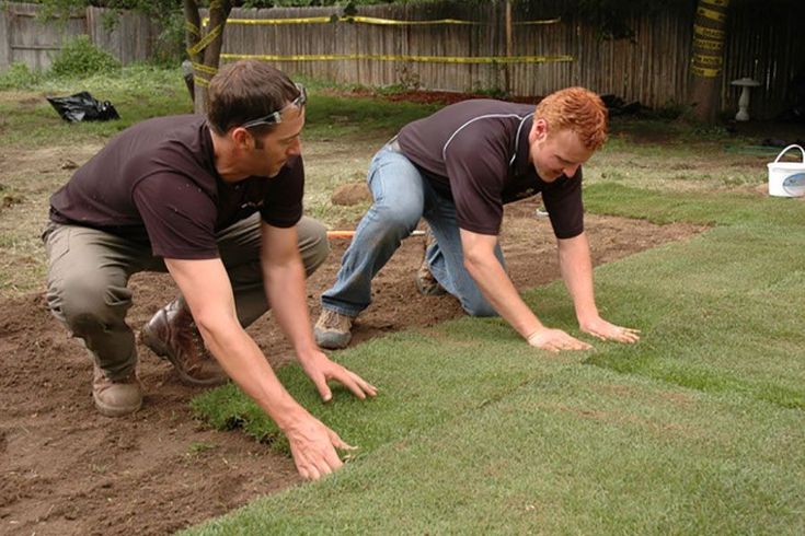 A Rented Sod Cutter Beats Three Weekends With A Flat Shovel