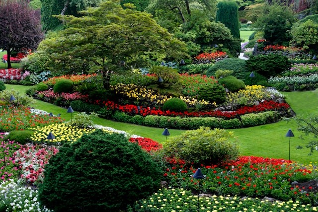 7 Eco-Friendly Practices for a Thriving Lawn and Landscape