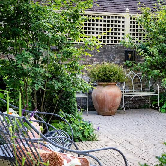 Enhance Your Garden’s Charm with Classic Terracotta Pots